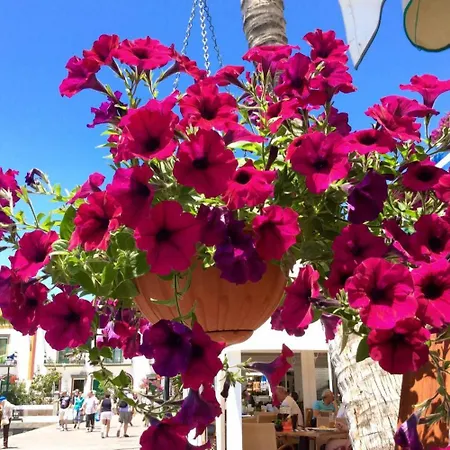 Appartement Playa De Mogan Mirador 5 By El Sirocco *